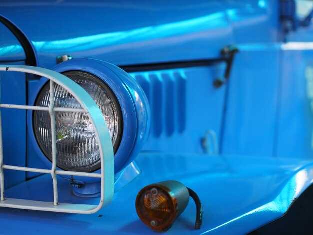Область применения и популярность газомоторных автомобилей в России