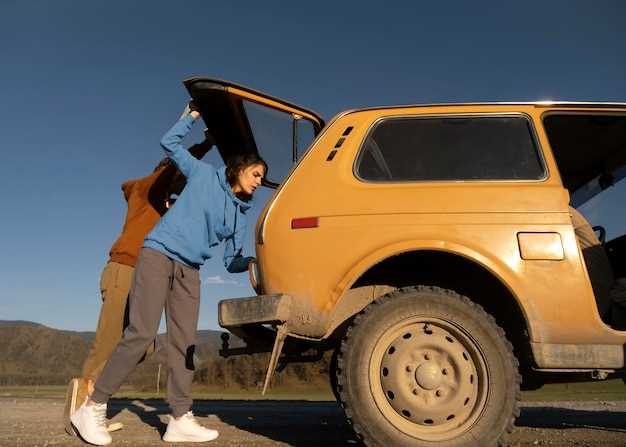 Как распознать неисправность стартера на Lada Niva Travel