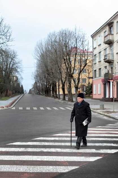 Экологические аспекты и оптимизация трафика на переходах